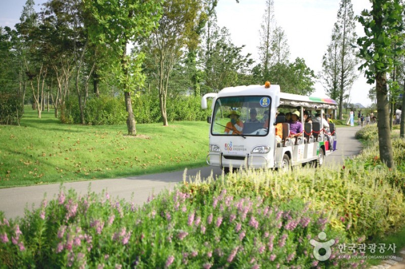 Suncheonman Bay National Garden  (42/46)