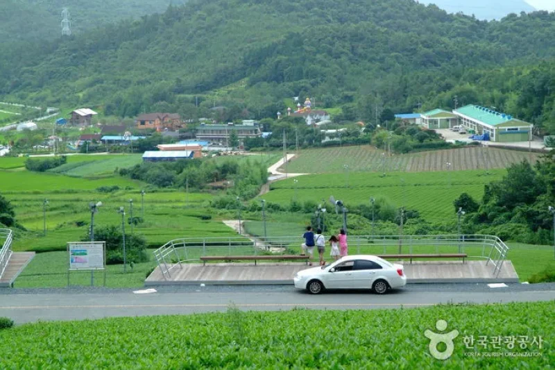 Gangjin Dawon  (3/8)