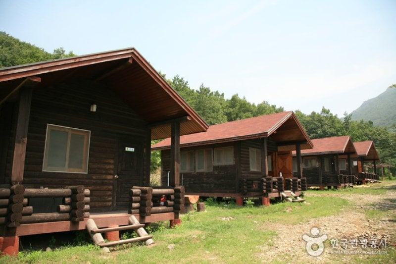 Gahaksan Recreational Forest  (1/10)