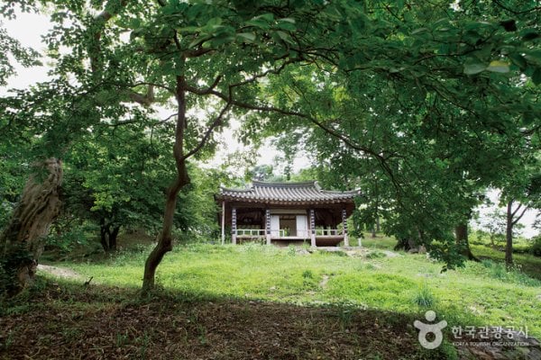 Damyang Myeongokheonrimwon Garden