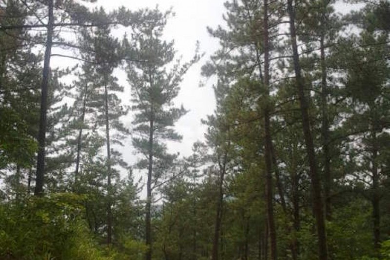 Baegunsan Mountain  (1/10)