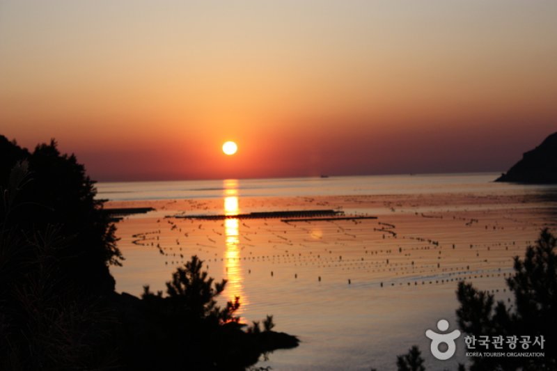 Bogildo Island (보길도) (1/3)