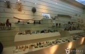 Mokpo Natural History Museum 