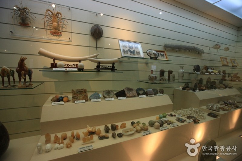 Mokpo Natural History Museum  (1/21)