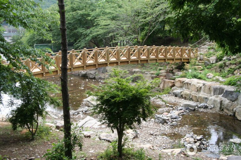 Jeamsan Recreational Forest (제암산자연휴양림) (1/6)