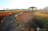 Taepyeong Yeomsaeng Botanical Garden 