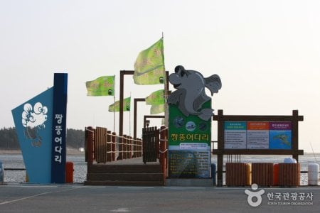 Jjangttungeodari (Mudskipper) Bridge (짱뚱어다리)