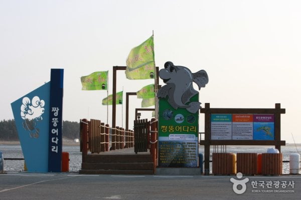 Jjangttungeodari (Mudskipper) Bridge (짱뚱어다리)