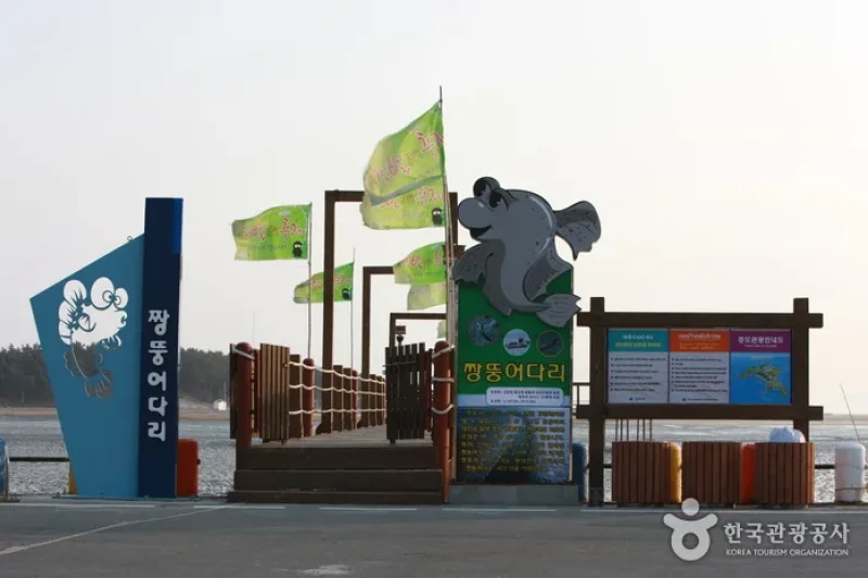 Jjangttungeodari (Mudskipper) Bridge (짱뚱어다리) (1/1)