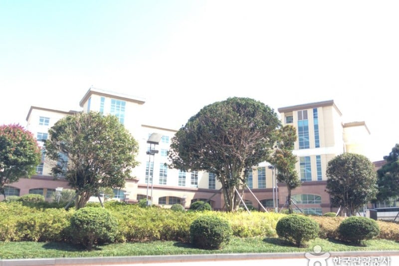 The Ocean Resort   (1/5)