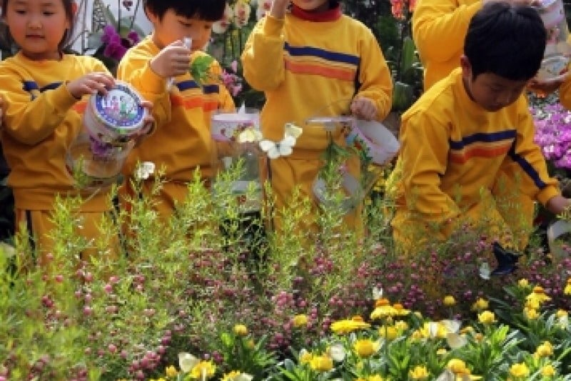 Hampyeong Butterfly Festival  (1/6)
