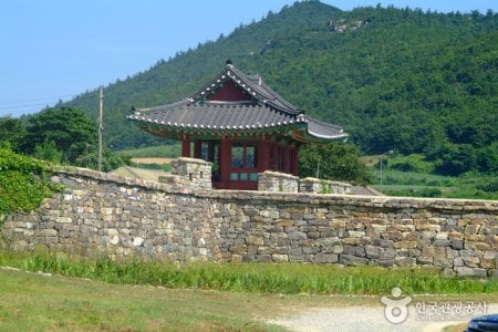 Jindo Island (진도)