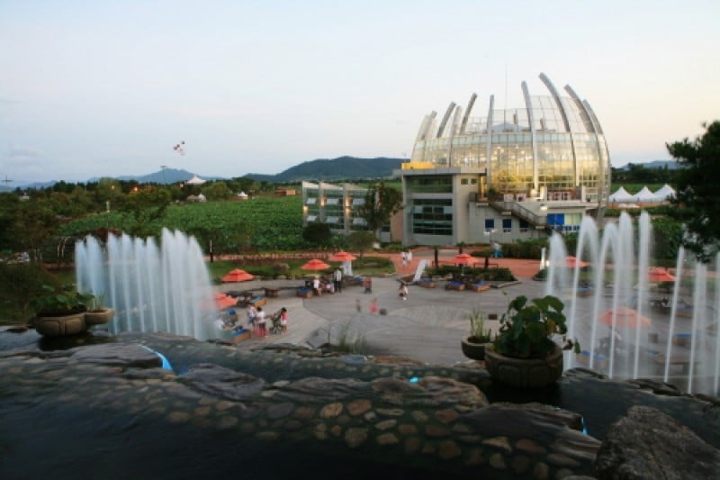 Muan White Lotus Festival  (5/6)