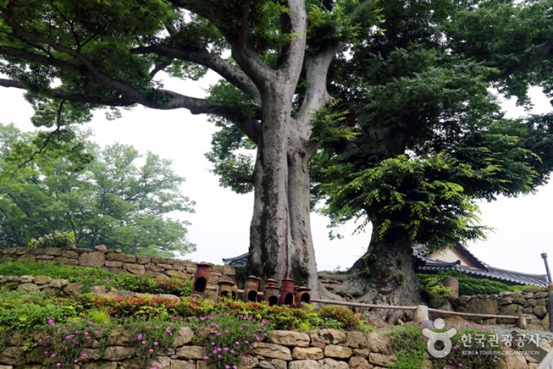 Daeheungsa Temple  (32/34)