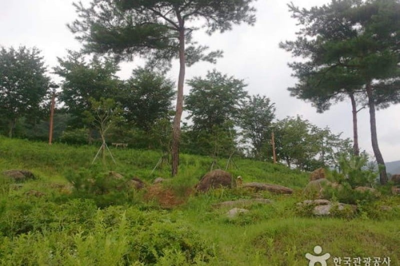 Baegunsan Mountain  (3/10)