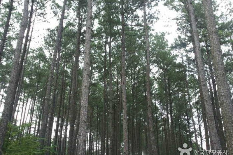 Baegunsan Mountain  (4/10)