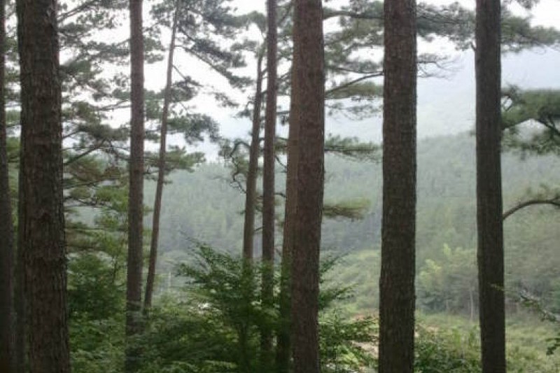 Baegunsan Mountain  (5/10)
