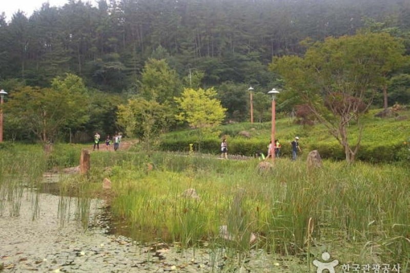 Baegunsan Mountain  (6/10)
