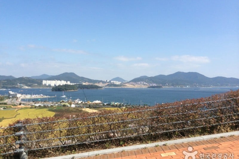 The Ocean Resort   (5/5)