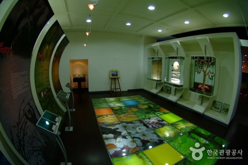 Naju Pear Museum 