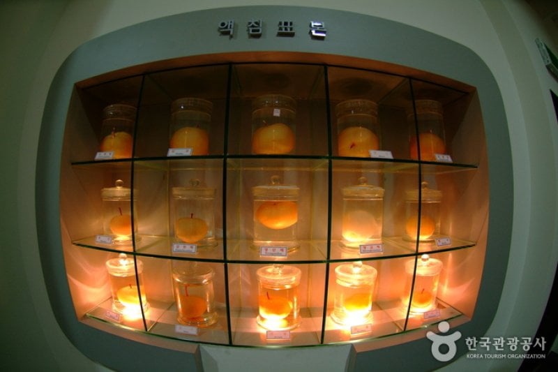 Naju Pear Museum 