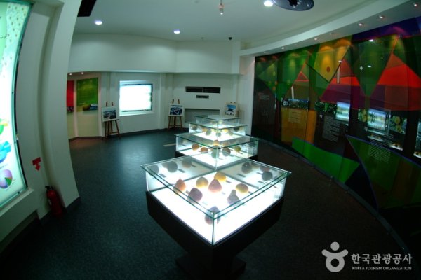Naju Pear Museum