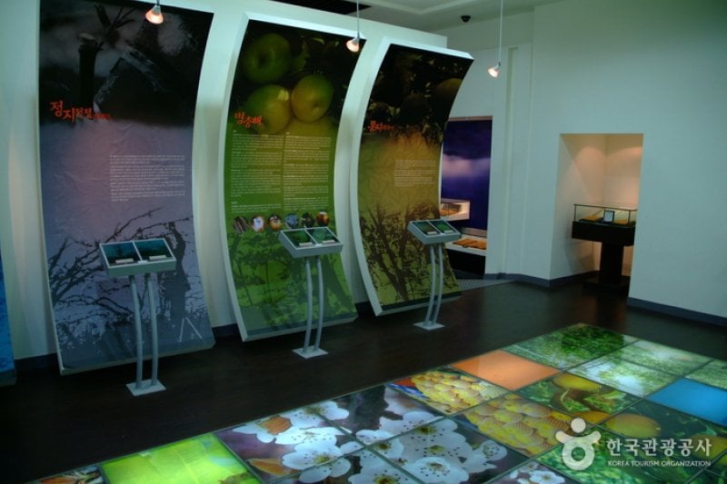Naju Pear Museum 