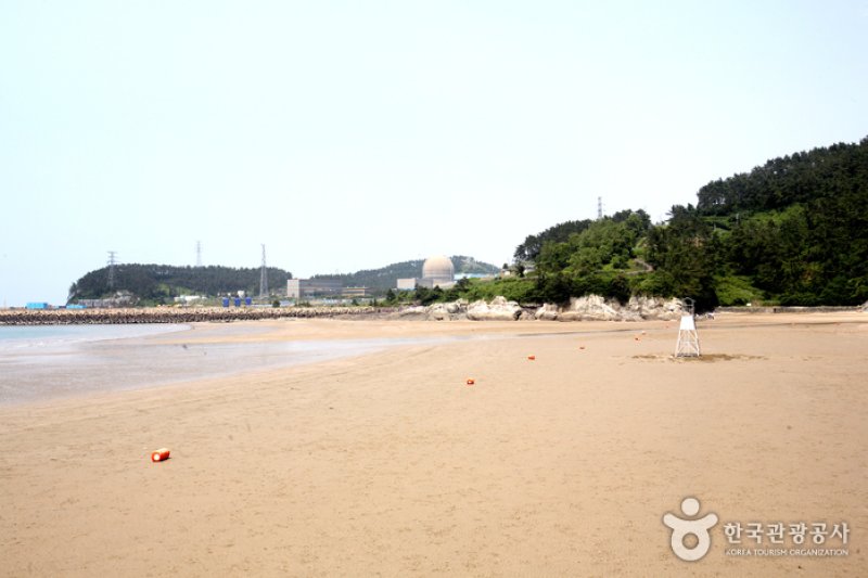 Gamami Beach  (8/20)