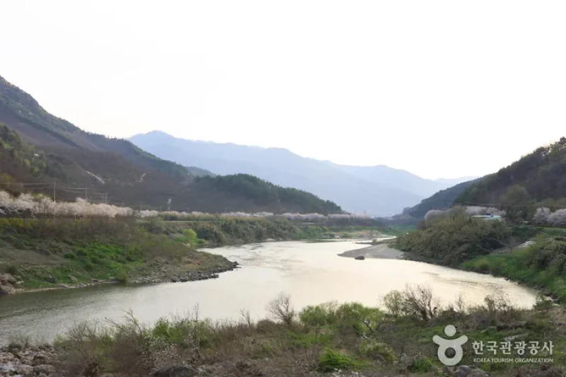 Seomjingang River (섬진강) (4/5)