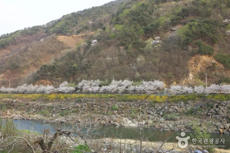 Seomjingang River (섬진강) (5/5)