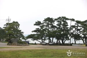 Narodo Wuju Beach 