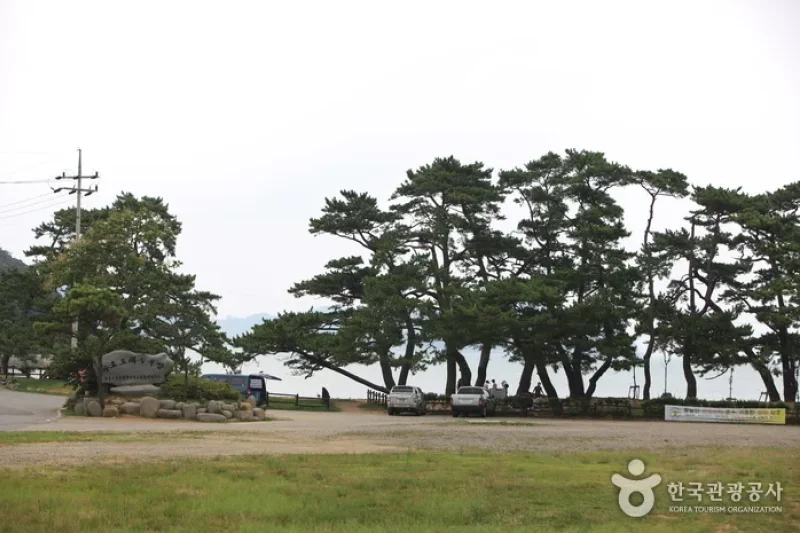Narodo Wuju Beach  (1/5)