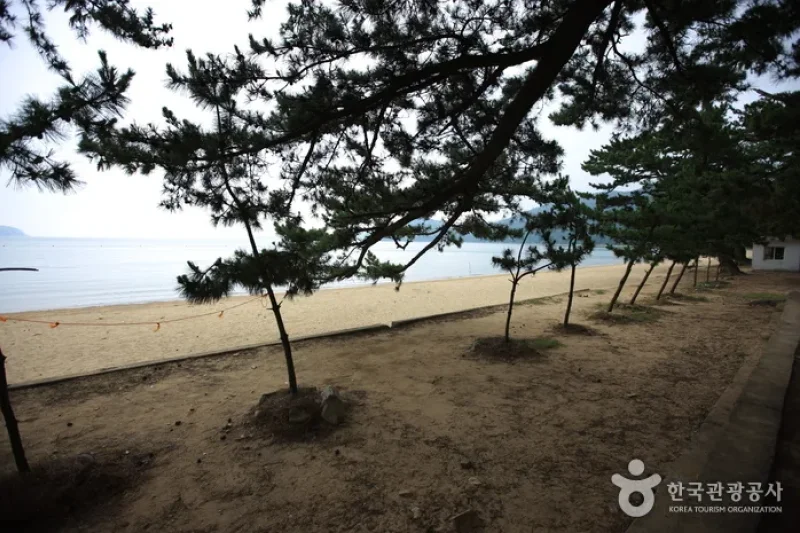 Narodo Wuju Beach  (5/5)