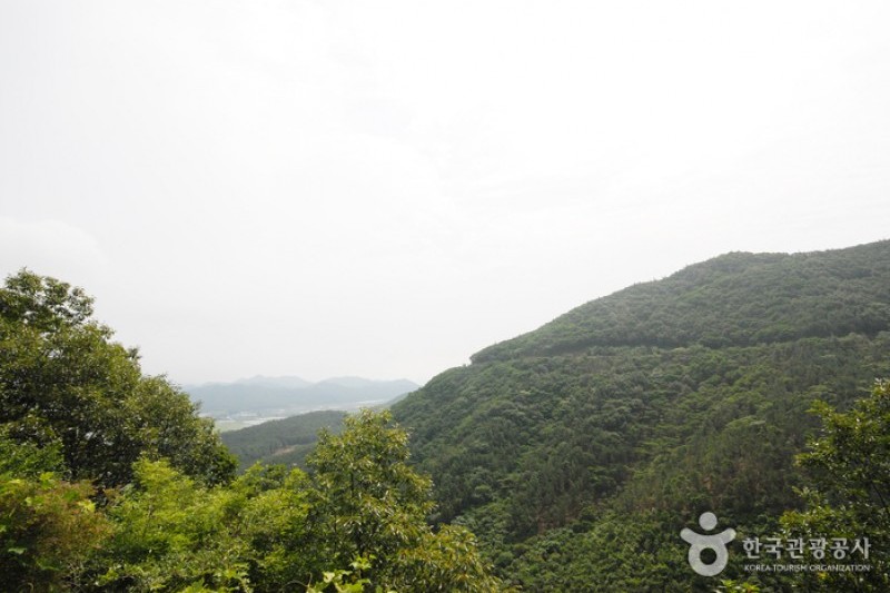 Cheongwansan Recreational Forest  (2/20)