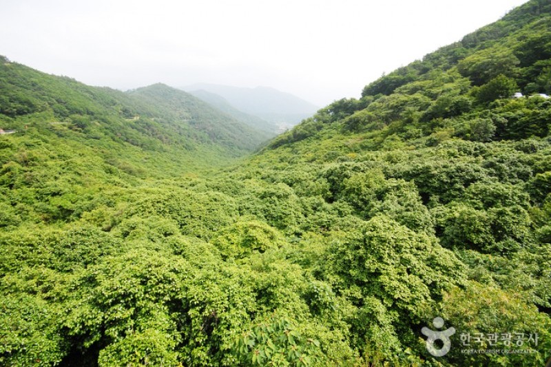 Cheongwansan Recreational Forest  (3/20)