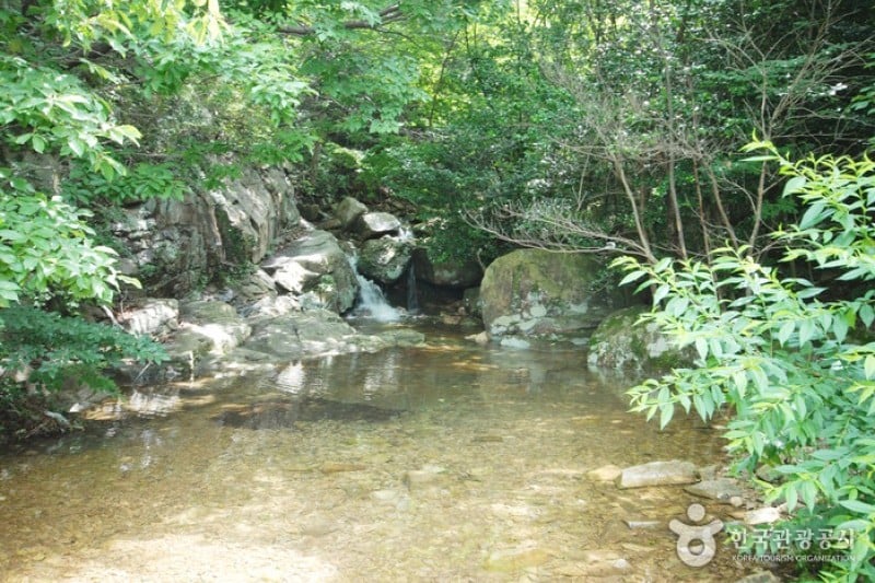 Cheongwansan Recreational Forest  (5/20)
