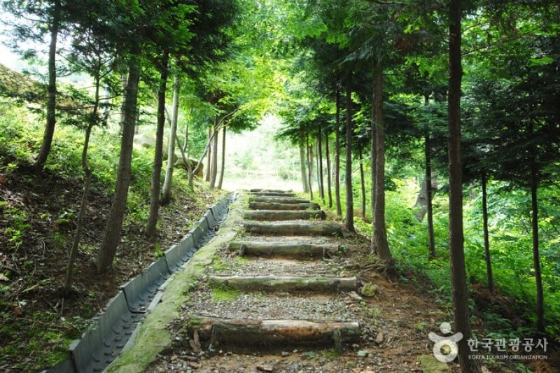 Cheongwansan Recreational Forest  (6/20)