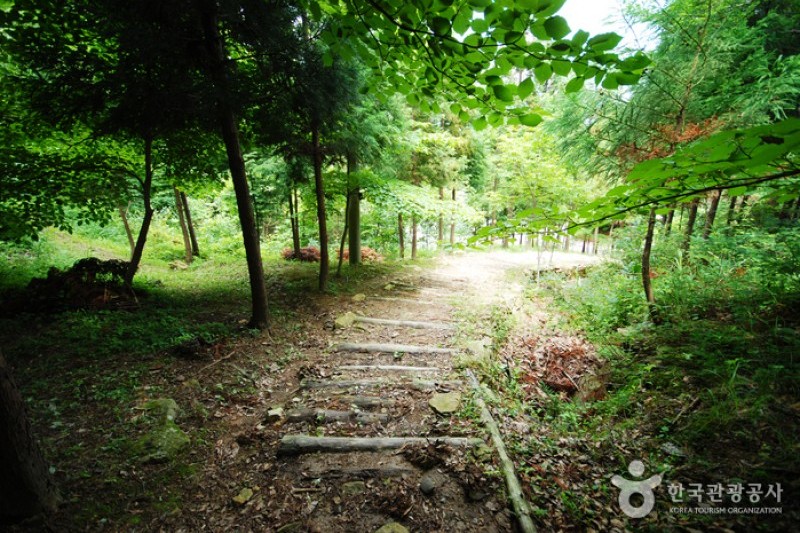 Cheongwansan Recreational Forest  (7/20)