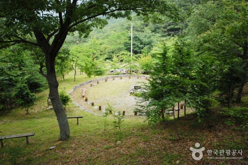 Cheongwansan Recreational Forest  (8/20)