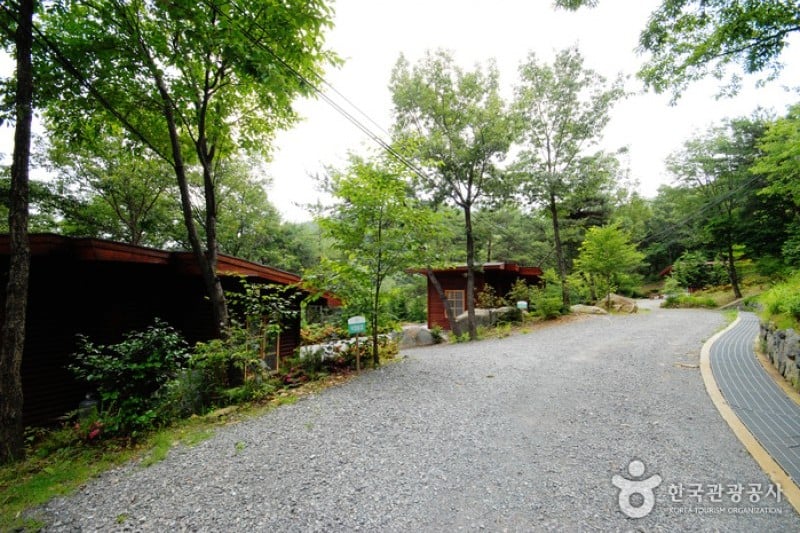Cheongwansan Recreational Forest  (17/20)