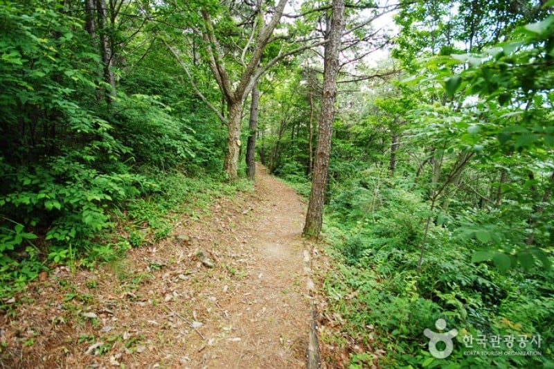 Cheongwansan Recreational Forest  (19/20)