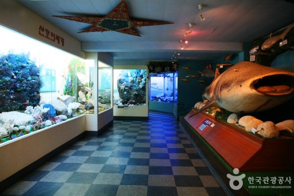 Ttangkkut Marine Natural History Museum