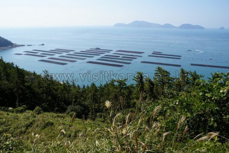 Soando Island  (1/18)