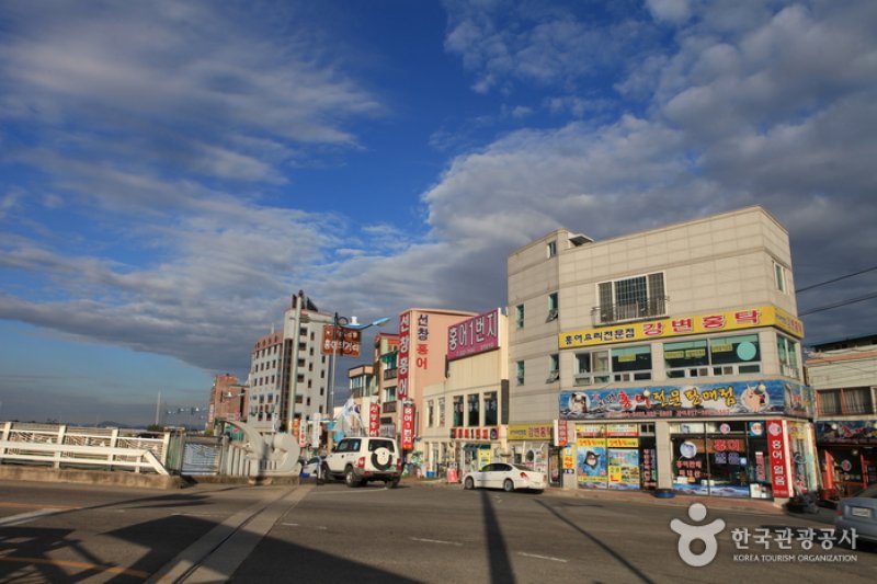 Yeongsanpo Skate Festival  (1/2)