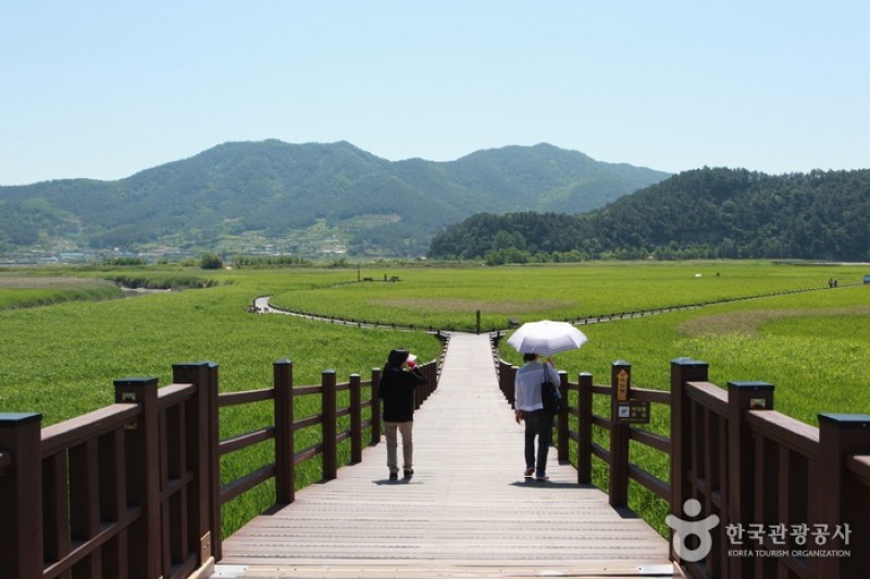 Suncheonman Bay Wetland Reserve  (67/70)