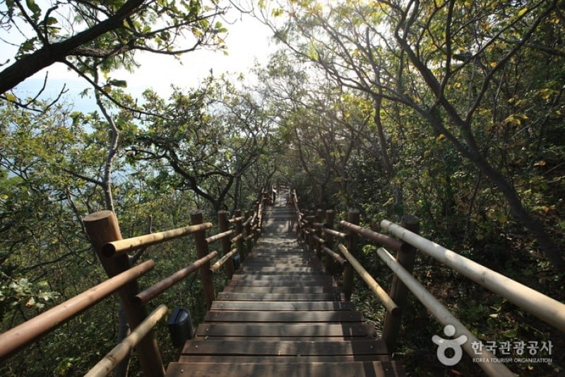 Ttangkkeut Village  (16/34)