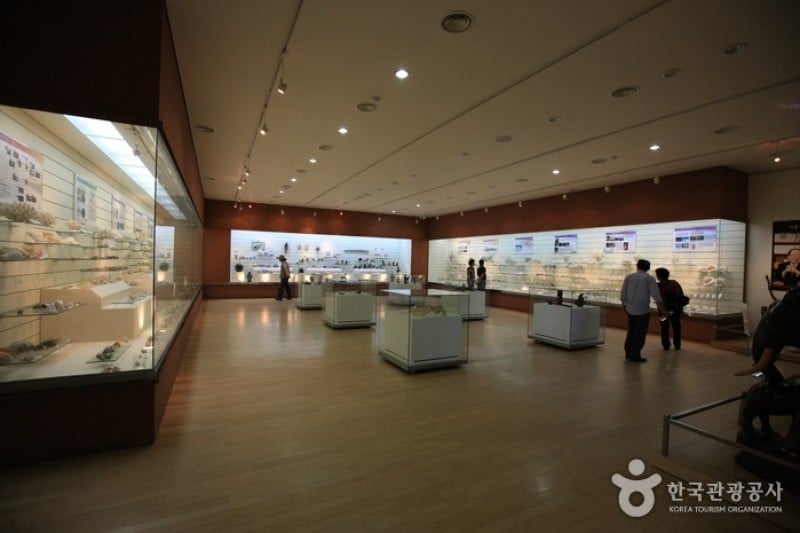 Mokpo Natural History Museum  (3/21)