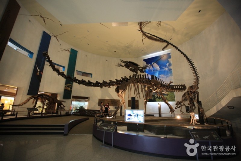 Mokpo Natural History Museum  (5/21)