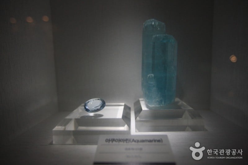 Mokpo Natural History Museum  (6/21)