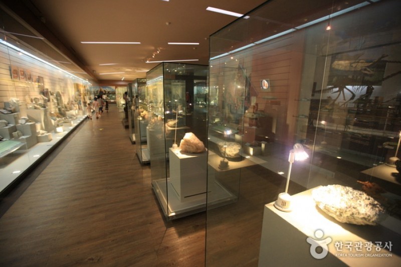 Mokpo Natural History Museum  (7/21)